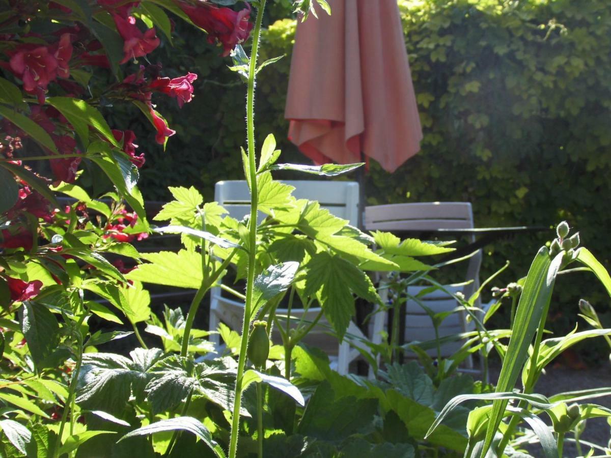 Schlossparkferienwohnungen Rheinsberg Mit Garten Екстер'єр фото